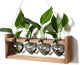 CYZglass Plant Propagation Stations Heart Plant Terrarium Kit Gift for Women Plant Lover Glass Vases