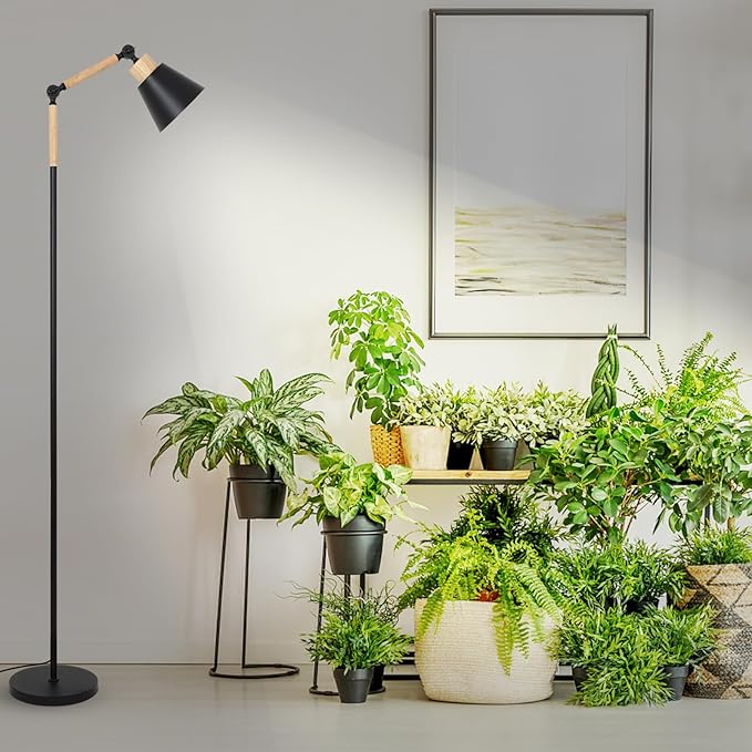 HMVPL Grow Lights for Indoor Plants Full Spectrum, Plant Lights for Indoor Growing with 20W COB Grow Light Blub, 4/8/12H Timer, Standing Tall Grow Lamp for Middle Large Plants(75'', Height Adjustable)
