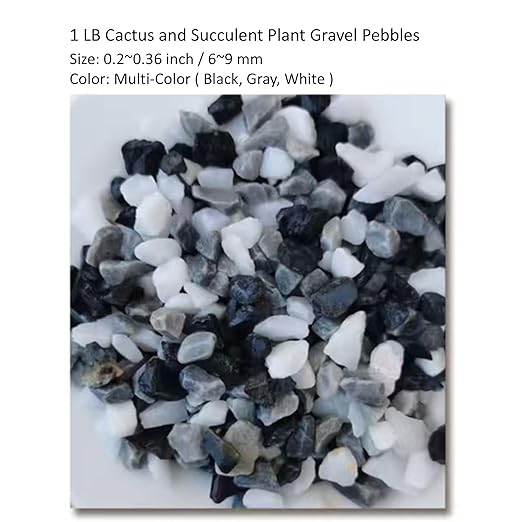 1LB Natural Gravel Pebbles, Cactus and Succulent Plants Pebbles, Small Decorative Polished Stones, Mixed Color River Rocks for Potted Plants, Vases, Aquariums, Terrarium and Outdoor Gardening