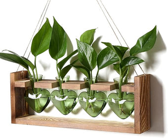 CYZglass Plant Propagation Stations Heart Plant Terrarium Kit Gift for Women Plant Lover Glass Vases