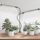 GHodec Grow Light, 6500K Full Spectrum White Red Blue 84 LED Plant Lamp Clip-on Desk for Indoor Plants Growing, 5 Dimmable Levels & Timer Setting 4/8/12H