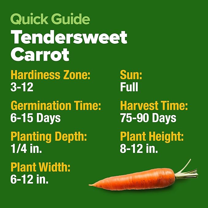 HOME GROWN Tendersweet Carrots Seeds 2 Pack - 6000 Non-GMO Heirloom Carrot Seeds for Planting Outdoors - High- (Daucus carota subsp. sativus)