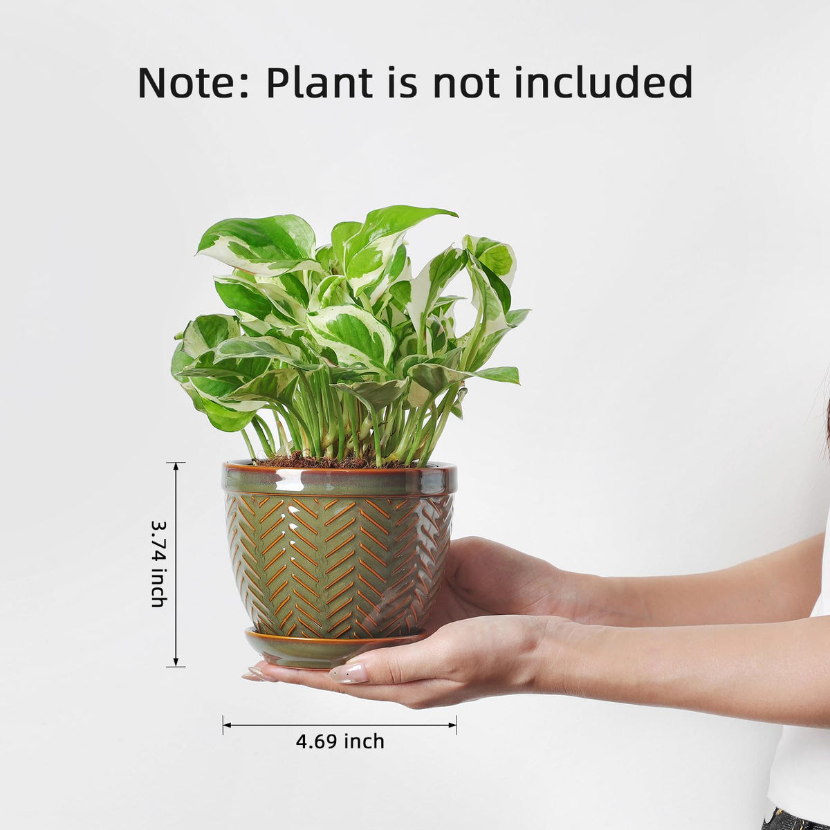 Sureasy Ceramic Plant Pots, 4.7 Inch Flower Pots for Indoor Plants, Succulent Pots with Saucer and Drainage Hole, Decorative Planter for Succulent, Cactus, Set of 4, Green