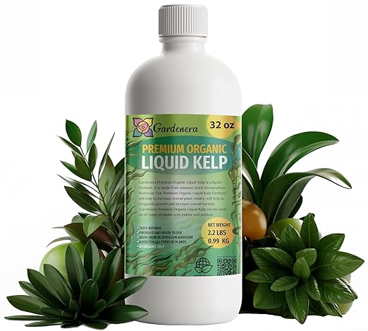 𝐁𝐄𝐒𝐓𝐒𝐄𝐋𝐋𝐄𝐑 Organic Liquid Kelp Fertilizer by GARDENERA - [32 OZ] - Organic Plant Superfood for Gardening - Concentrated Kelp & Seaweed Extract for Gardens, Lawns, Plants & Soil
