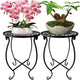 EKINIYAR Plant Stand Indoor Outdoor, Metal Plant Stand for Indoor Plants Iron Art Flower Pot Holder Stand Decoration Shelf Racks for Single Planter Use in Garden Patio Corner 2 Pack