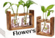 2+1 Plant Terrarium Plant Propagation Station Gifts for Father Halloween Skull Home Office Decor with Wooden Stand
