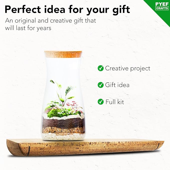 PYEF CRAFTS DIY Terrarium Kit for Plants – Build a Self‑Sustaining Closed Ecosystem – Supplies for Up to 68 oz (1‑2 Liter) Glass Jar – Succulents, Air Plants (Tillandsia), Fern – Jar Not Included