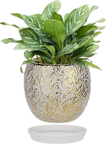 Ceramic Plant Pots for Plants Indoor 5.3 Inch Round Gold and White Flower Pot Gilded Decorative Planter with Drainage Hole and Saucer Modern Ceramic Pot for Succulents Orchids Cactus Herbs Home Decor