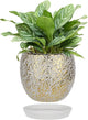 Ceramic Plant Pots for Plants Indoor 5.3 Inch Round Gold and White Flower Pot Gilded Decorative Planter with Drainage Hole and Saucer Modern Ceramic Pot for Succulents Orchids Cactus Herbs Home Decor