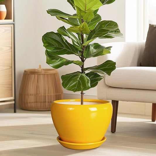Ceramic Planter - 10 Inch Plant Pot for Indoor Outdoor Plants Glaze Modern Round Planter with Drainage Hole and Saucer for Garden Office Home Room Patio Decor, Yellow