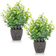 FAVOWREATH 2 Pack Fake Plants Ceramic Mini Artificial Greenery Potted Plants for Home Decor Office Decor Room Decor Farmhouse Decor Indoor Table Bathroom Decor