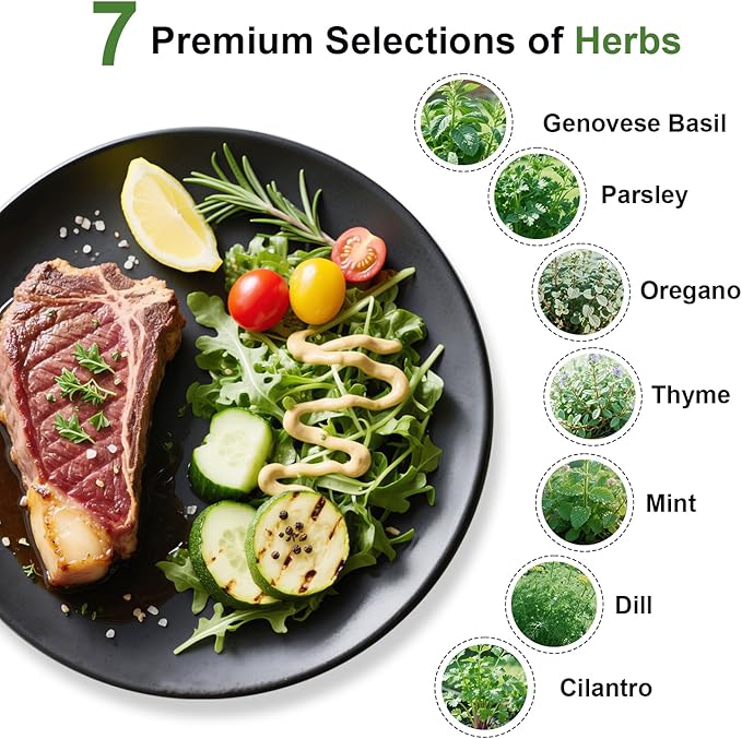 Gourmet Herb Seed Pod Kit for AeroGarden, idoo, Ahopegarden, MUFGA with Basil, Parsley, Thyme, Mint, Cilantro, Dill, Oregano - Compatible with All Hydroponics (7-Pod)