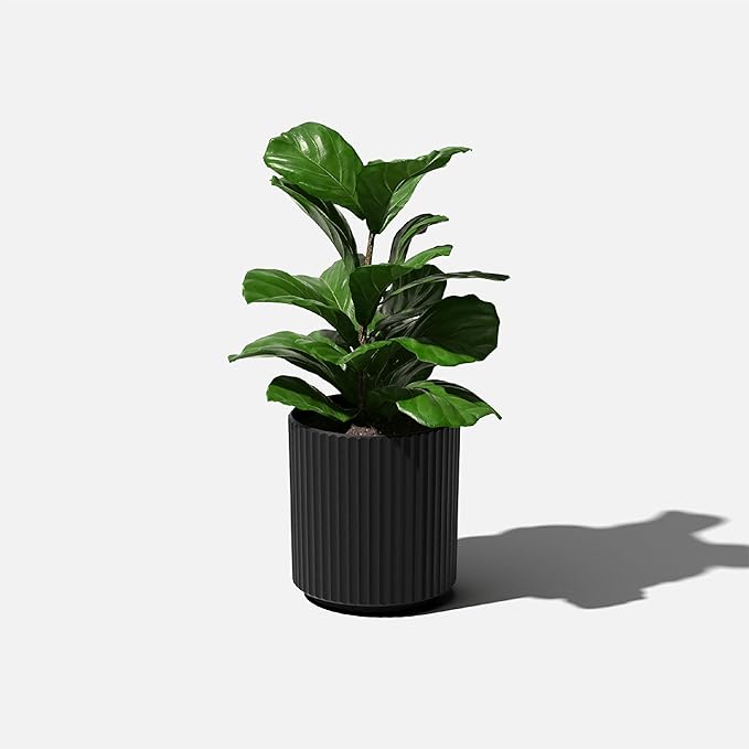 Veradek Demi Series Round Planter for Porch, Patio, Backyard | Durable Plastic-Concrete Material | Modern Décor for Tall Plants, Flowers