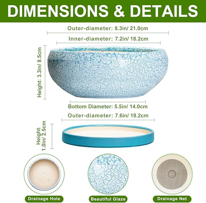 EPFamily Succulent Pots 8 Inch - Ceramic Bonsai Pots with Drainage Hole and Saucer, Succulent Planters for Indoor Plants Outdoor, Round Shallow Planter Bowl, Porch Decor, Gardening Gifts, Blue