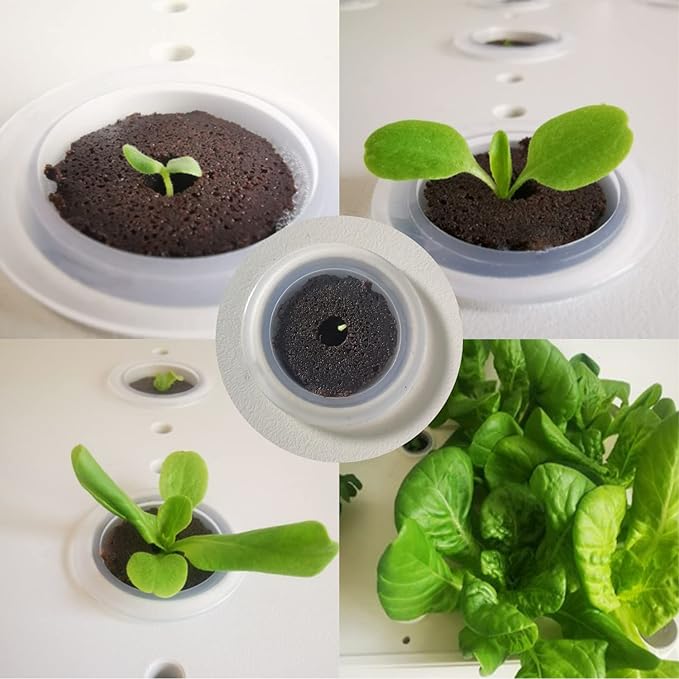 Grow Sponges 100 Pack, Hydroponics Sponge Compatible with Aerogarden, iDOO