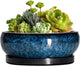 EPFamily Succulent Pots - 6 Inch Ceramic Bonsai Pots with Drainage Hole and Saucer, Shallow Planter for Indoor Outdoor, Round Succulent Planter, Cactus Pot, Office Decor, Gifts for Plant Lovers, Blue