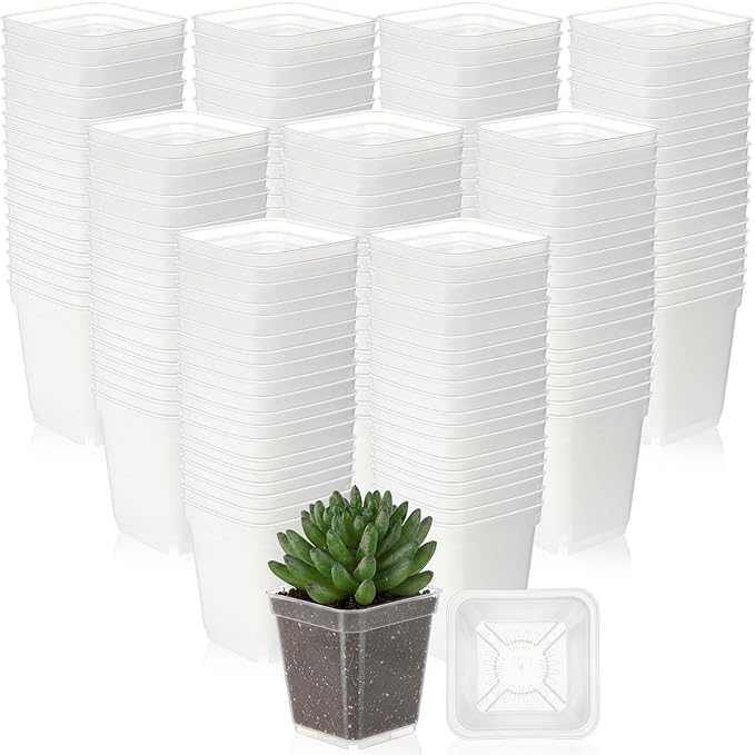 Yaomiao 200 Pack 3 Inch Clear Nursery Pot Square Flower Pots Plastic Plant Succulent Planter Seed Starting Pots with Drainage Holes for Garden Office Balcony Decor Indoor Outdoor Plant Seedling