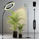 LPMZMBL One Head Grow Lights for Indoor Plant Full Spectrum, Plant Lights for Indoor Growing with 3/9/12 Timer, 5 Dimmable Levels, Height Adjustable 16.5''-68", Strong Base for Large Plants