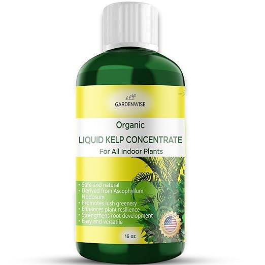 Organic Premium Kelp Seaweed Fertilizer - Liquid Hydroponics Fertilizer - Liquid Plant Food - Nutrient-Rich Soil Enhancer - Natural Plant Food for All Indoor Plants (16 oz)
