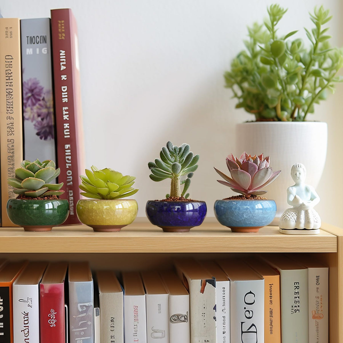 T4U Mini Succulent Pots, Small Shallow Ceramic Pots, Retro Gift Set of 6