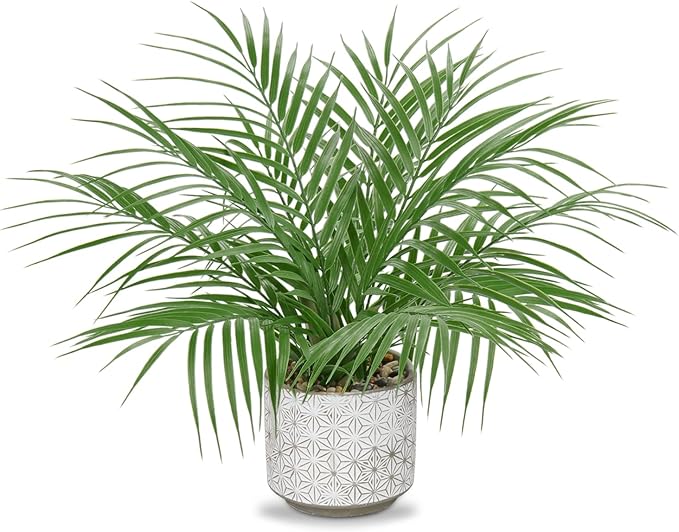 Hollyone Large Artificial Potted Plants Fake Palm Plants 16" Faux Tropical Palm Plant Tree in Ceramic Pots Bohemian for Home Room Office House Indoor Decoration