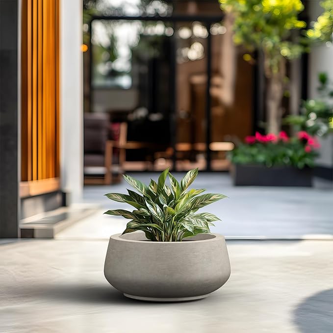 Kante 16.9" Dia Round Concrete Bonsai Planters, Outdoor Indoor Garden Plant Pot with Drainage Hole for Home, Patio, Garden, Weathered Concrete