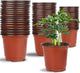 Augshy Nursery Pot, 75 Pcs 4", 5", 6" Plastic Plant Nursery Seed Starting Pots for Indoor Outdoor Succulent Seedling Cutting Transplanting