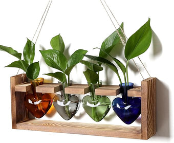CYZglass Plant Propagation Stations Heart Plant Terrarium Kit Gift for Women Plant Lover Glass Vases
