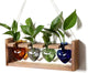 CYZglass Plant Propagation Stations Heart Plant Terrarium Kit Gift for Women Plant Lover Glass Vases