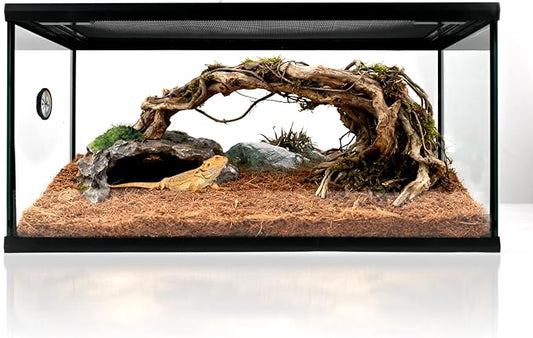 waazoorep Reptile Glass Tank 20"*12"*10" Pre-Assembled Terrarium for Turtle,Hermit Crab,Bearded Dragon,Gecko,Lizard,Snake,Spider,Fish,Tarantula Enclosure with Top Screen Ventilation and Openning Door
