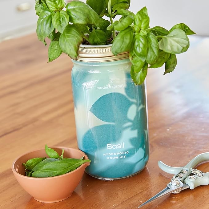 Modern Sprout Garden Jars + Smart Growbar Bundle - Self-Watering Hydroponic Herb Growing Kit with Full-Spectrum LED Grow Light, Organic Herb Seeds, Smart App, Adjustable Brightness, Ideal for Gifting