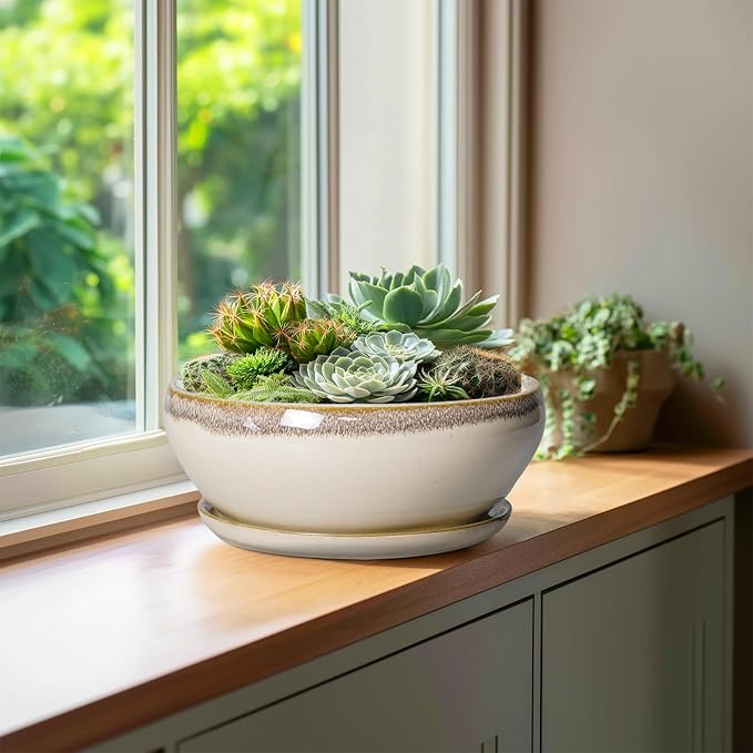 SQOWL Bonsai Tree Pots - 10 Inch Ceramic Succulent Pots, Round Shallow Planter with Drainage Hole and Tray, Bowl Planter for Indoor Outdoor Plants Flowers, Room Decor, Garden Gifts, Beige