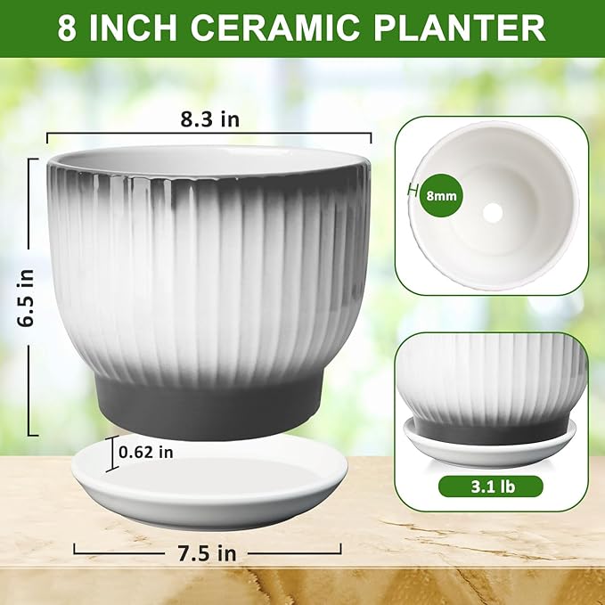 8 Inch Plant Pot, Ceramic Planter with Drainage and Saucer, Ceramic Pots for Plants, Indoor Plant pots,Ceramic Flower pots(Black + White, Plants NOT Included)