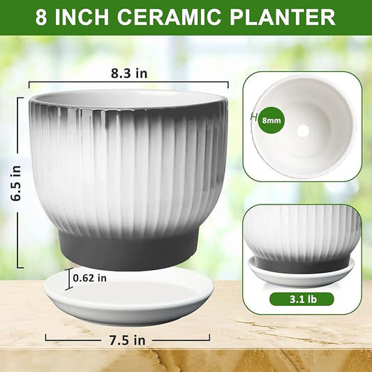 8 Inch Plant Pot, Ceramic Planter with Drainage and Saucer, Ceramic Pots for Plants, Indoor Plant pots,Ceramic Flower pots(Black + White, Plants NOT Included)