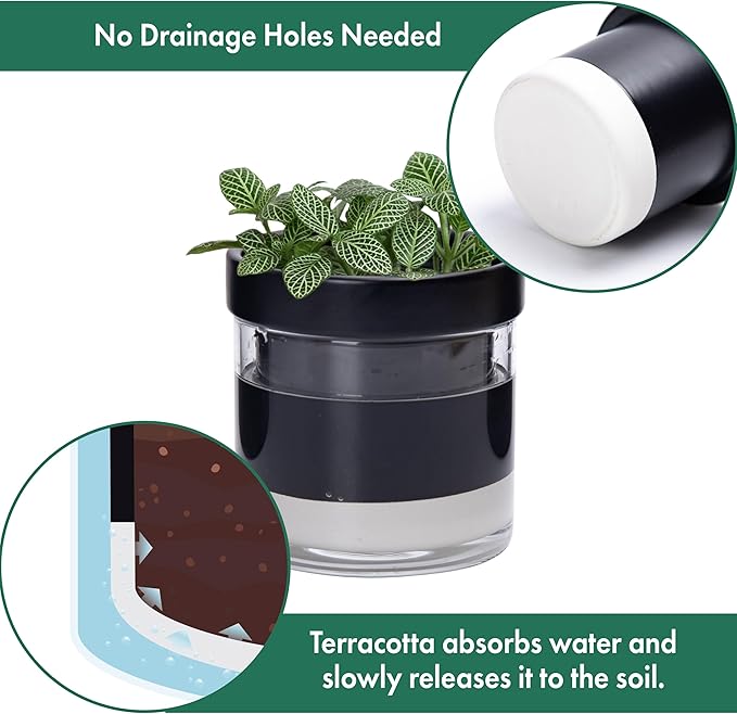Phoenix Vine 4 Inch Self Watering Planter Pot, Black Terracotta Clay Pot with Glass Reservoir for Indoor Plants, Herbs, Flowers, Set of 2, 52-C-E-2