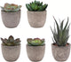 wiwauouo Set of 5 Artificial Succulent Plants in Pots - Lifelike Fake Succulents for Desk Decor, Low-Maintenance Home & Office Decor Gift