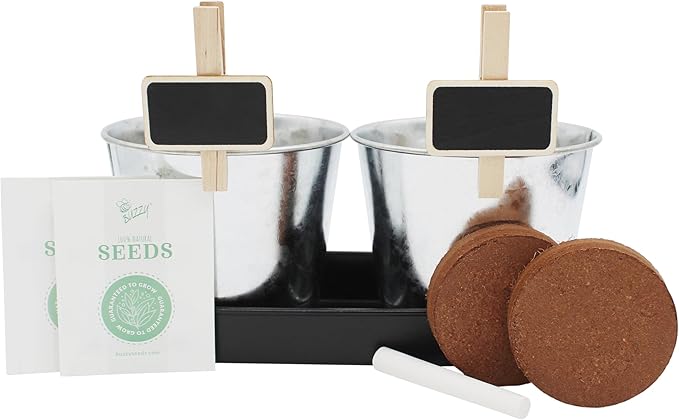 BUZZY Seeds Pollinator Garden Grow Kit with 2 Galvanized Metal Pots, Black-Eyed Susan and Coneflower Seeds, Growing Medium, Plant Markers, Chalk and Easy Instructions, Great Gift for Plant Lovers