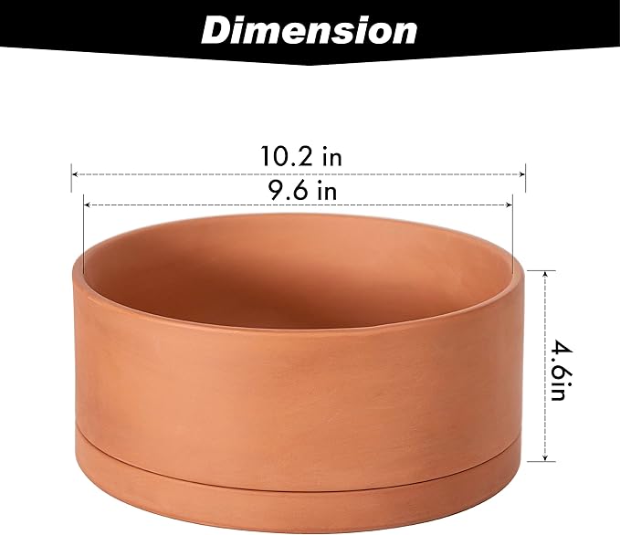 D'vine Dev 10 Inch Succulent Terracotta Shallow Pot with Drainage Hole and Saucer, Round Cylinder Planter Pot for Plant Flower, 40-Y-B-0