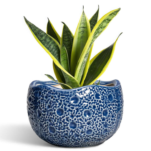 Thirtypot Ceramic Pots for Plants - 8 Inch Round Planter with Drainage Hole, Round Decorative Plant Pots for Indoor Outdoor, Modern Unique Flower Pot, House Living Room Decor, Home Gifts, Blue