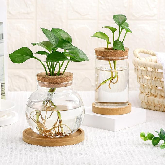 Layhit 4 Pcs Plants Propagation Stations vases Glass Planters with Wooden Lid and Bamboo Stand for Hydroponic Plants Gardening Gifts for Women Mom Home Office Tabletop Decoration(Funny Style)