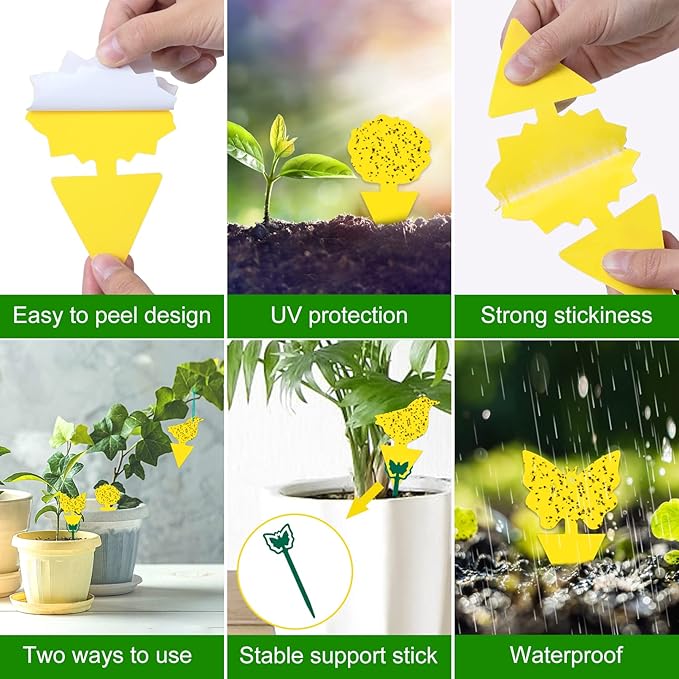 60 Pack Fruit Fly Trap for Indoors, Gnat Traps for House Indoor Gnat Killer, House Plant Gnats Bugs Sticky Killer Fruit Fly Traps for Indoor