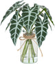 Muhanjia Artificial Flowers Turtle-Back, Alocasia Leaf, in Glass Vase with Faux Water,7Pcs Artificial Leaves Real Touch Latex Leaves for Centerpiece (1, Alocasia Leaf)