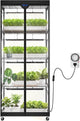Barrina LP750 Indoor Greenhouse with Grow Light, 5-Tier Plant Stand with Light 140W TX-S35 2FT, 5000K Full Spectrum Plant Shelf with Tent, Timer & Thermometer for Seed Tray Growth 29.5 x 13.8 x 70.9IN