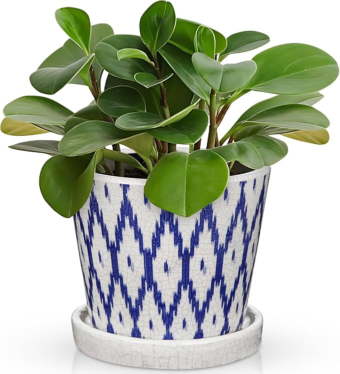 Ceramic Pot for Plants, 5.5 Inch Planter with Saucer and Drainage Hole for Indoor Plants, Ice Crack Vintage Flowers Plant Pots for Succulent Orchid Snake Plants Flower (Blue)