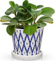 Ceramic Pot for Plants, 5.5 Inch Planter with Saucer and Drainage Hole for Indoor Plants, Ice Crack Vintage Flowers Plant Pots for Succulent Orchid Snake Plants Flower (Blue)