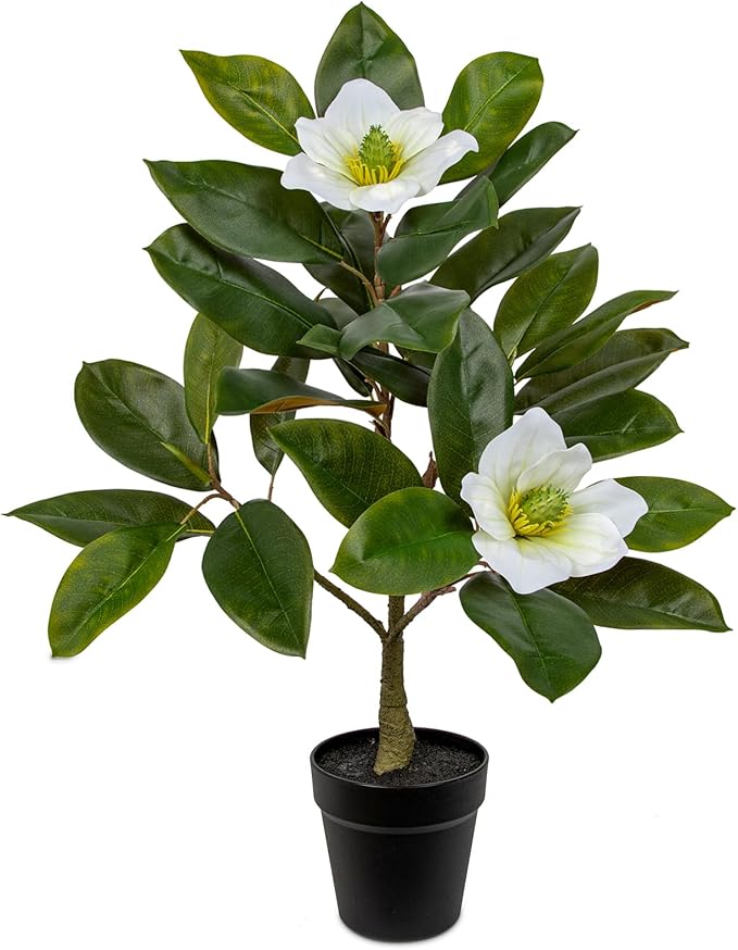 Briful Artificial Magnolia Flower Tree in Black Pot – 26.3in Tall Faux Magnolia Plant with Realistic White Blooms Fake Potted Silk Floral Tree for Home Office Room Kitchen Outdoor Porch Décor