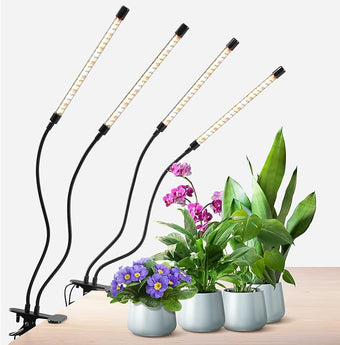 GROWSTAR Plant Lights for Indoor Growing, Full Spectrum 4 Heads Clip Grow Lamps with 10 Feet Cables for Houseplants, Auto On Off Timing 3 9 12Hrs(2 Pack)