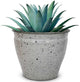 Headwind Riverside Collection – 14" Dalmation Glazed Decorative Plant Pots Indoor with Drainage & Outdoor - Modern Flower Pot Weather-Resistant Lightweight Planter by Robert Allen
