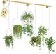 Plant Hanger Indoor Hanging Planters for Indoor Plants Hanging Plant Holder Window Plant Rod Gold Metal Shelves 63 Inch (Pot/Chains not Included