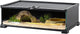 REPTIZOO Small Reptile Tank 20" x 12" x 6" Glass Reptile Terrarium with Top Feeding Habitat for Snake Spider